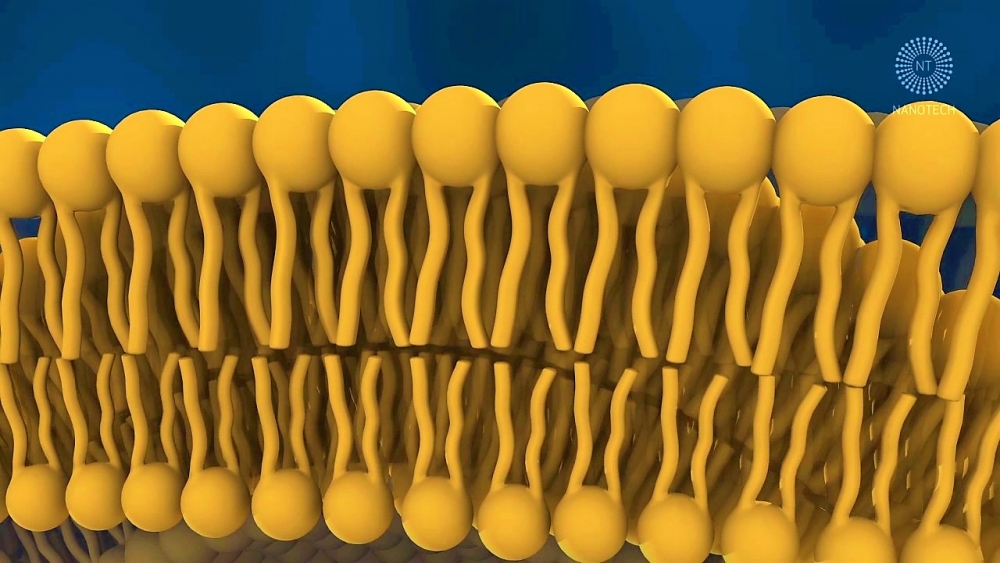 Nanotechnologia – jak przedostać się w głąb skóry?